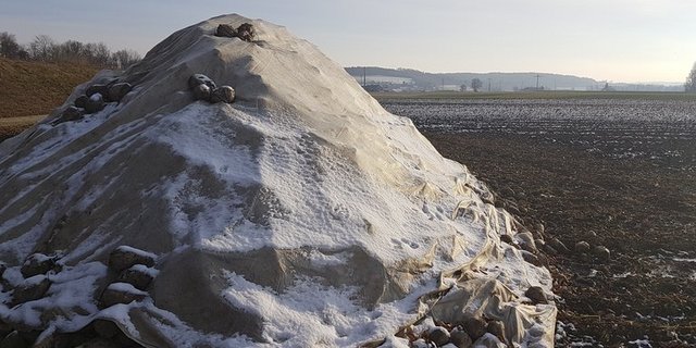 Bei einer Erhöung der Einzelkulturbeiträge würden die Konsumenten nicht belastet.(Bild lid/ji)