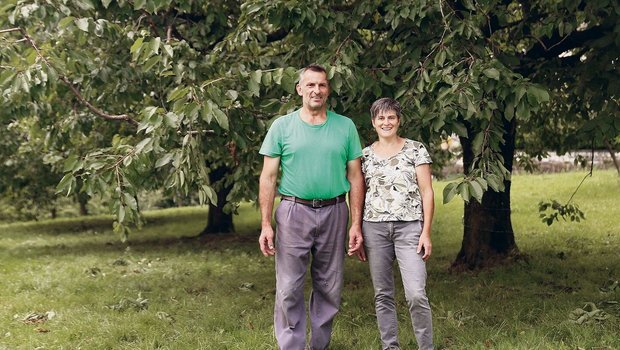 Bei ihrer Betriebsübernahme vor 30 Jahren pflanzten Silvia und Xaver Schelbert Kirschbäume. Dieses Jahr mussten sie infolge der KEF einen Totalausfall an Tafelkirschen verzeichnen. 