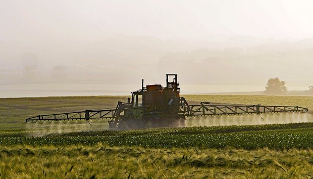 Mit der Initiative «Für eine Schweiz ohne synthetische Pestizide» kommt nach der Trinkwasser-Initiative das nächste Anti-Pflanzenschutz-Volksbegehren. (Bild Pixabay)