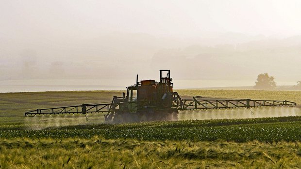 Mit der Initiative «Für eine Schweiz ohne synthetische Pestizide» kommt nach der Trinkwasser-Initiative das nächste Anti-Pflanzenschutz-Volksbegehren. (Bild Pixabay)