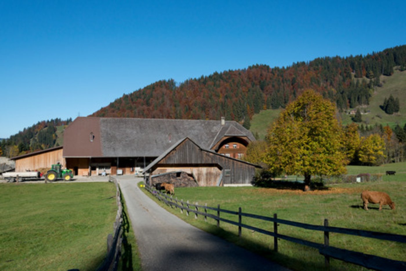 Die landwirtschaftlichen Betriebe haben sich stärker spezialisiert. (Symbolbild Miriam Kolmann)