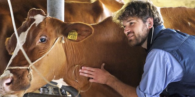 Kranke Tiere sind oft eine Folge von u.a. ungesunden Haltungssystemen oder tierischen Leistungen. (Bild lid)