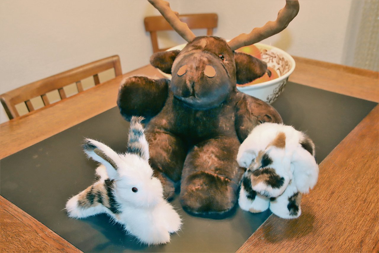 Hase, Elch und Hund: Verschiedene Tiere aus Kaninchenfellen, die Benny Dalpiaz kreiert hat.