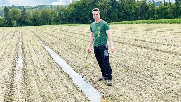 In den Fahrspuren de In den Fahrspuren des Zwiebelfeldes sammelt sich das Regenwasser. «Ans Befahren und Behandeln gegen den Unkrautdruck ist nicht zu denken», sagt Reto Huber. Sobald der Boden abgetrocknet ist, ist Handjäten angesagt.