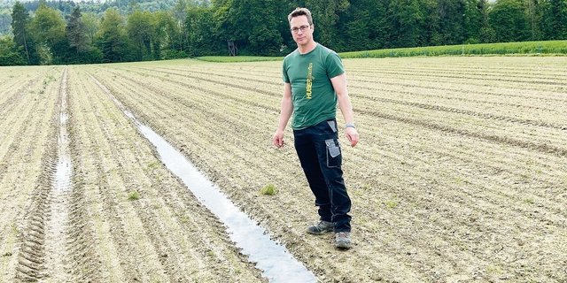 In den Fahrspuren des Zwiebelfeldes sammelt sich das Regenwasser. «Ans Befahren und Behandeln gegen den Unkrautdruck ist nicht zu denken», sagt Reto Huber. Sobald der Boden abgetrocknet ist, ist Handjäten angesagt.
