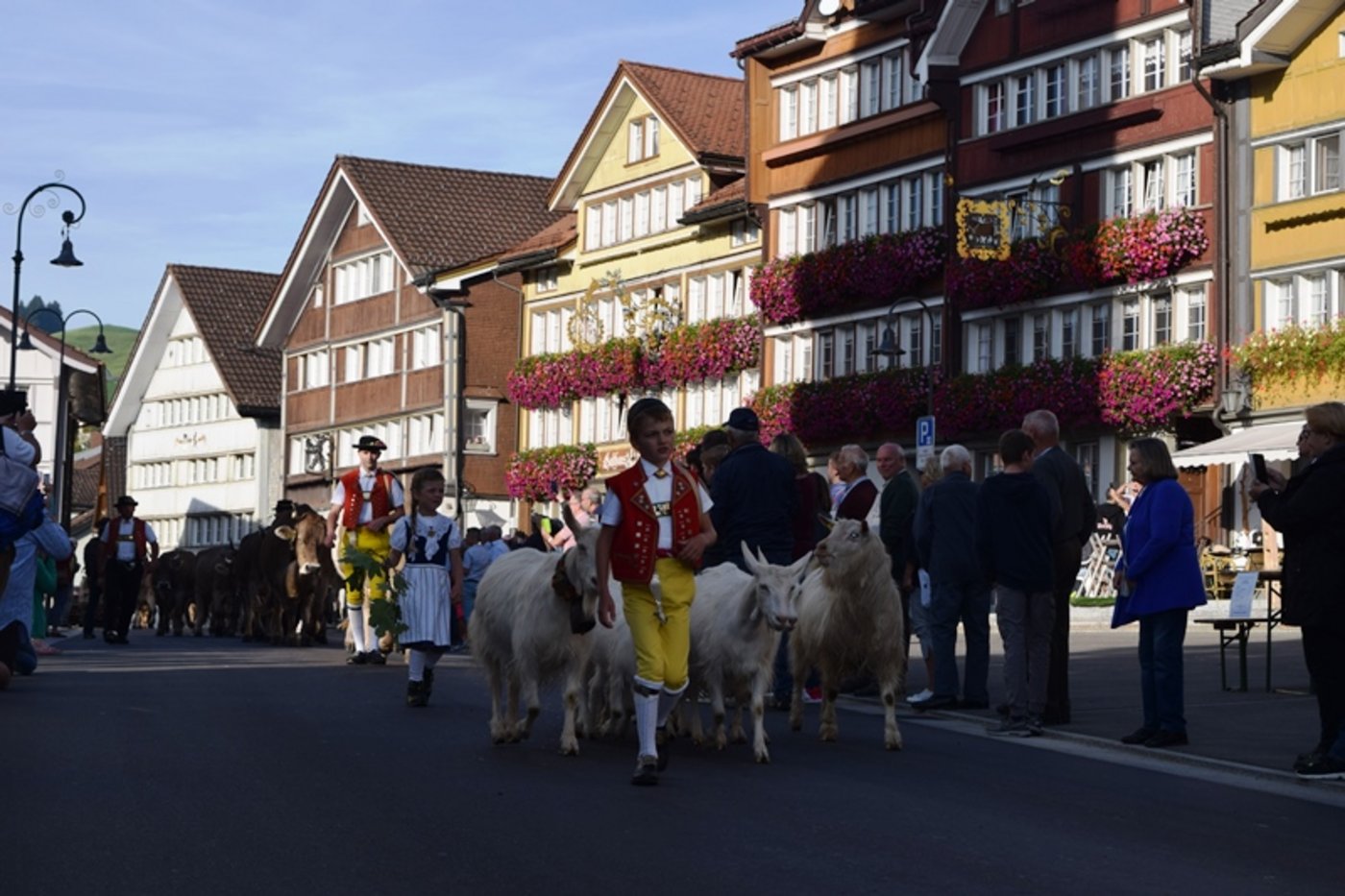 Angeführt wird der Zug immer von einer Schar Appenzeller Ziegen, begleitet durch einen Bub und ein Mädchen in Tracht.