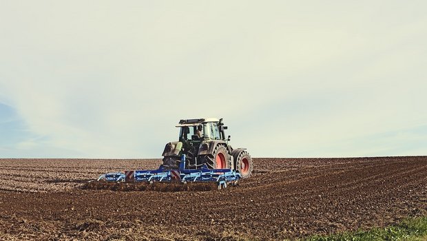 Immer auf dem Feld: Viele Schweizer Landwirte arbeiten gemäss dem Bundesamt für Statistik mehr als 100 Prozent. (Bild Pixabay)