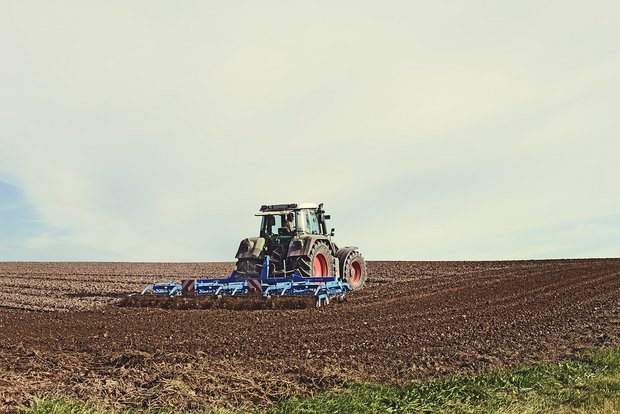 Immer auf dem Feld: Viele Schweizer Landwirte arbeiten gemäss dem Bundesamt für Statistik mehr als 100 Prozent. (Bild Pixabay)