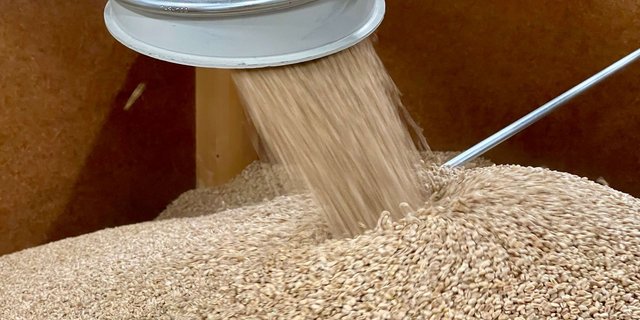 Weizen für Futtergetreide.