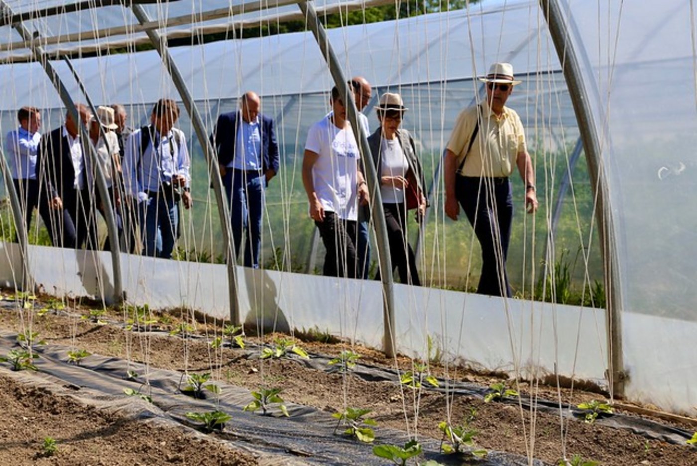 Auch Bundesrat Guy Parmelin folgte der Einladung. Er mischte sich im waadtländischen Puidoux (Lavaux) unters Volk.
