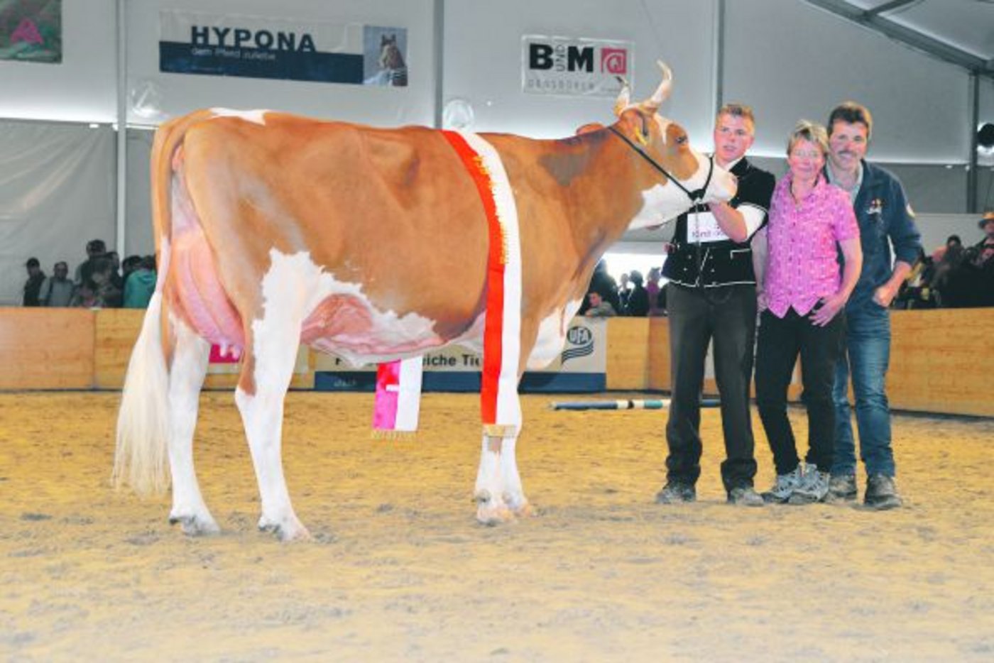 Bond Arnika bei ihrem Rassensieg an der Bernischen Eliteschau 2017. «Sie ist schon was Besonderes für uns.» (Bild Celine Oswald)