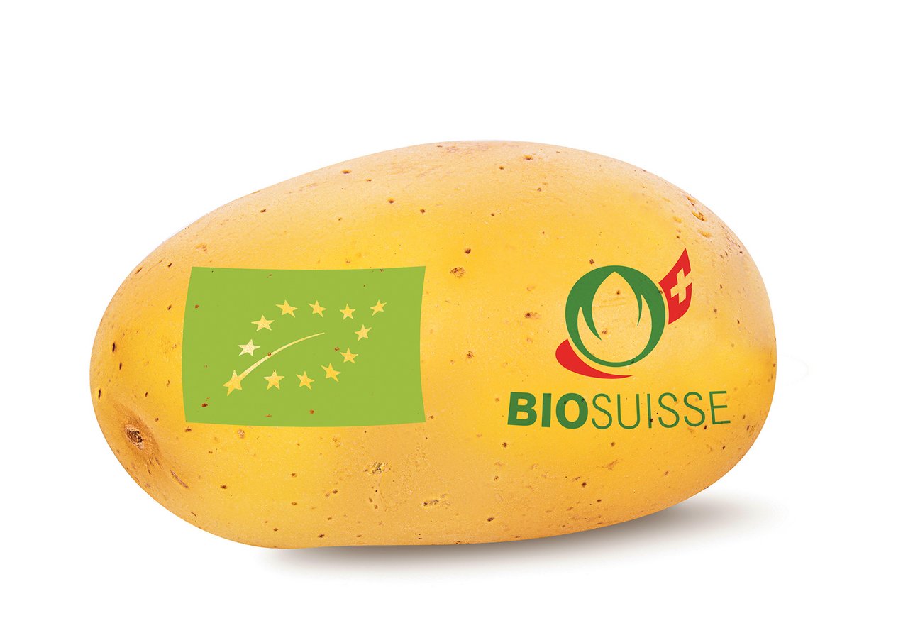 Für die Bio-Produktion gelten in der EU und in der Schweiz ähnliche Grundsätze. Einzelne Labels, wie etwa Bio Suisse, geben jedoch bedeutend strengere Regeln vor. (Bild BauZ)