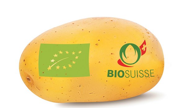 Für die Bio-Produktion gelten in der EU und in der Schweiz ähnliche Grundsätze. Einzelne Labels, wie etwa Bio Suisse, geben jedoch bedeutend strengere Regeln vor. (Bild BauZ)
