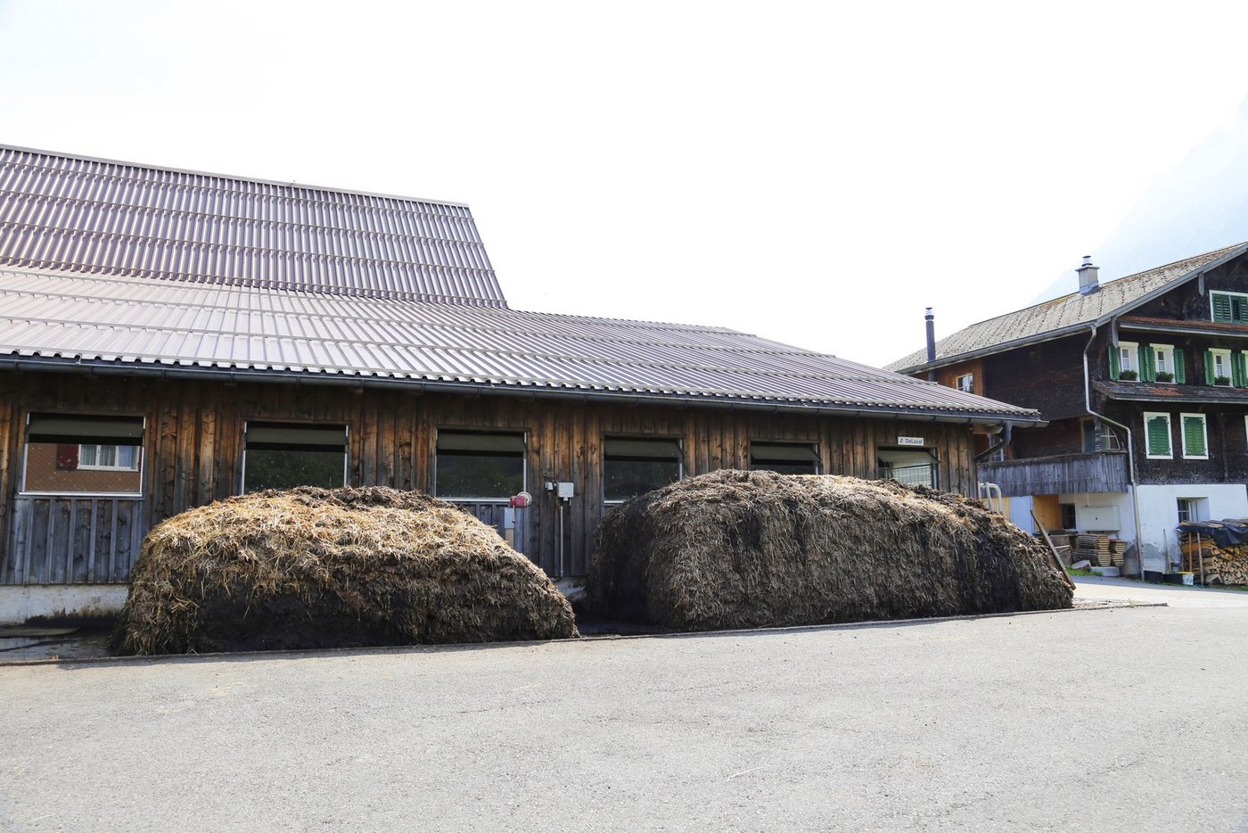 Mist ist die wichtigste Phosphorquelle der Schweizer Landwirtschaft. (Bild ji)