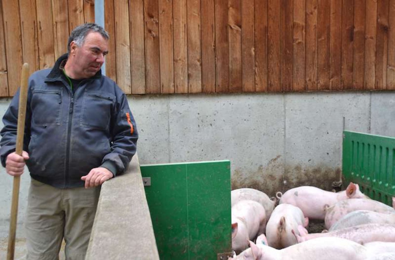 Schweinemäster Jakob Tschopp hat seinen Betrieb für die neuen Ressourceneffizienzbeiträge für Schweine angemeldet. Bei den Direktzahlungen bedeutet dies ein Plus von 3500 Franken. (Bild Armin Emmenegger)