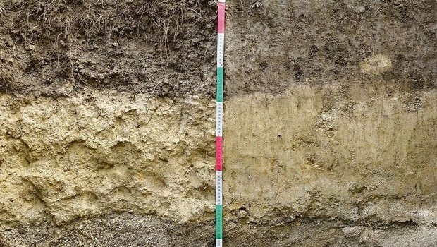 Ein Bodenprofil macht die Eigenschaften des Bodens sichtbar. Laboruntersuchungen liefern weitere Informationen.
