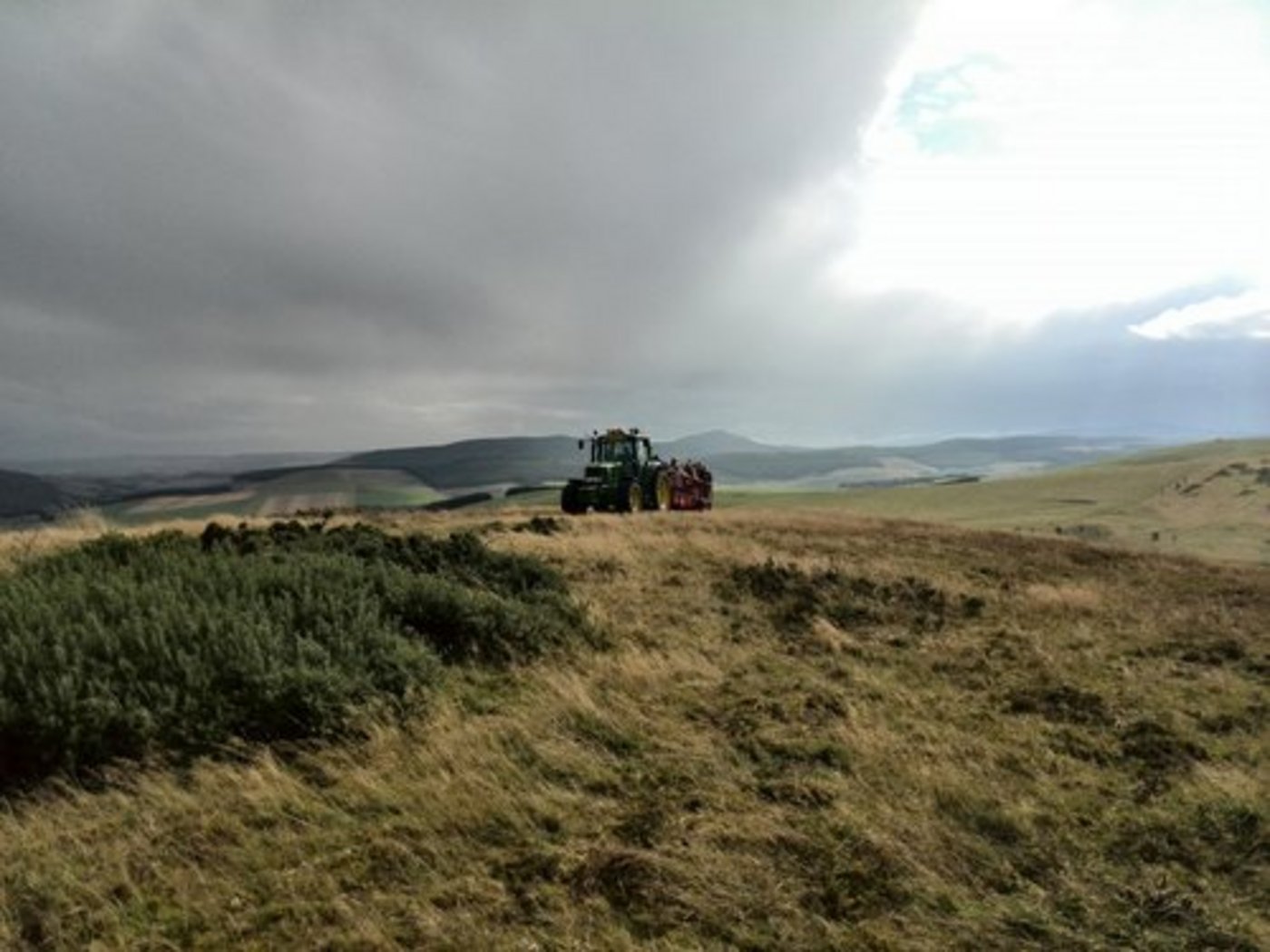 In Grossbritannien ist der Ökolandbau auf dem Rückzug. (Bild: ji)