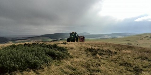 In Grossbritannien ist der Ökolandbau auf dem Rückzug. (Bild: ji)