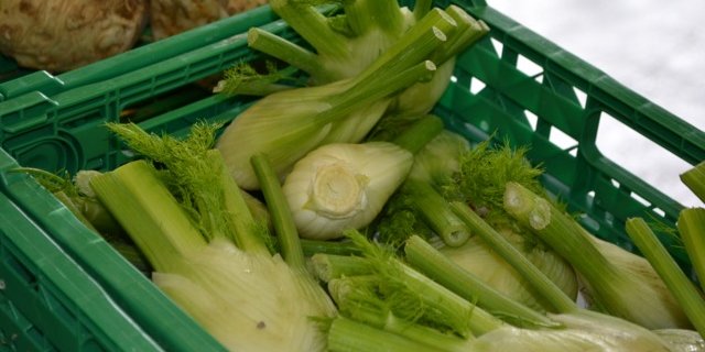 Für den Fenchel fehle ein Herbizid, beklagen Gemüseproduzenten. (Bild Pixabay)