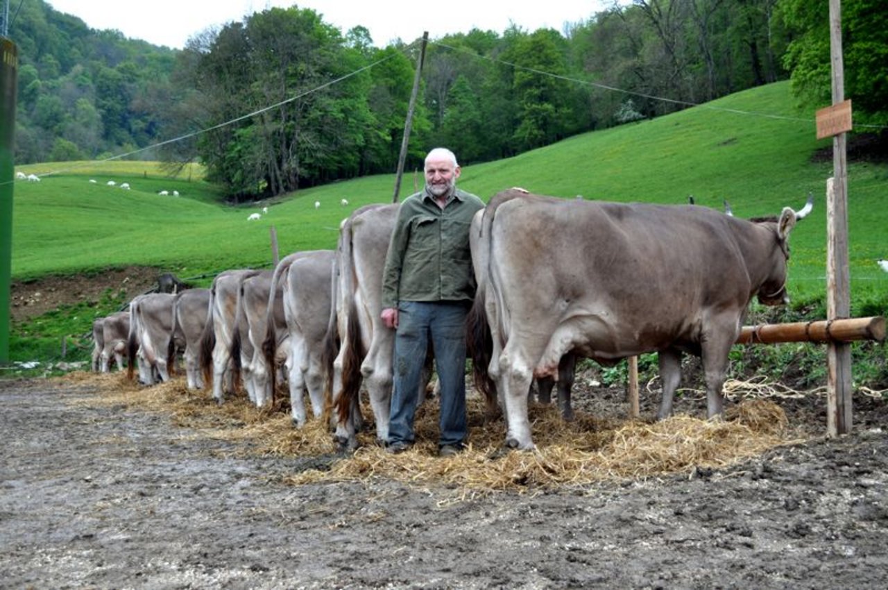 Eugen Hitz mit seinen Kühen. (Bild Andrea Imbaumgarten)