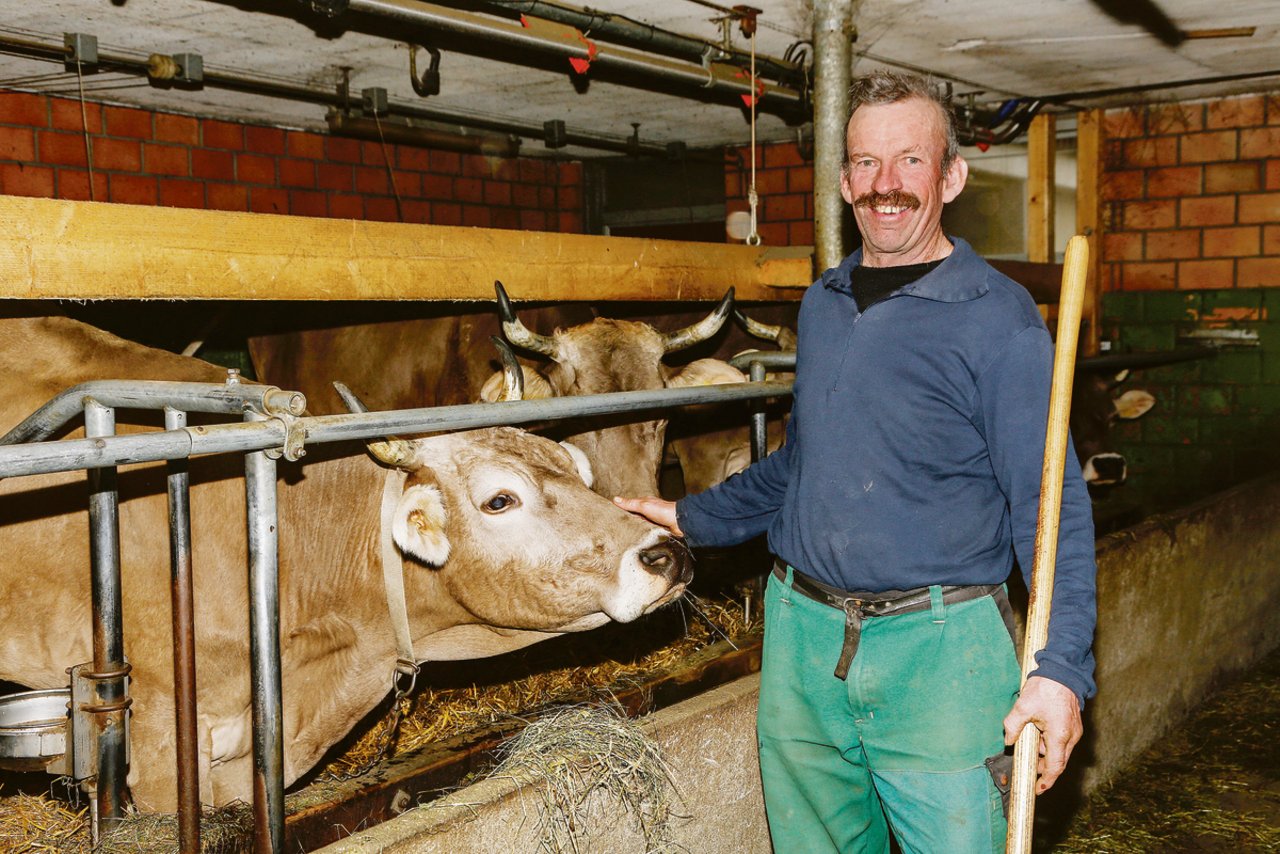 Nach der Betriebsübergabe hat sich nicht viel geändert: Sepp Käslin im Stall bei «seinem» geliebten Braunvieh.(Bild Erika Rebsamen)