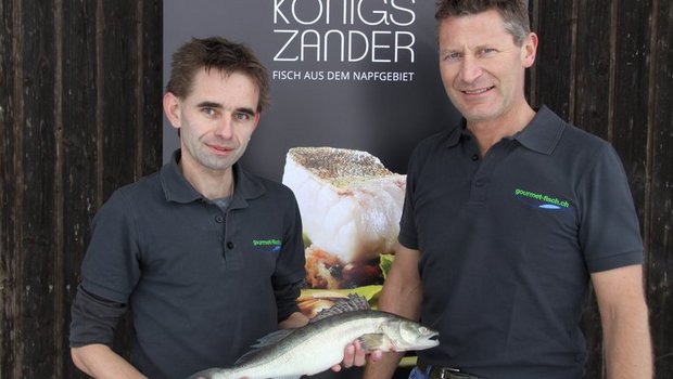 Die Landwirte Thomas Muri und Reto Kaufmann produzieren jährlich rund 12 Tonnen Zander. (gourmet-fisch.ch)