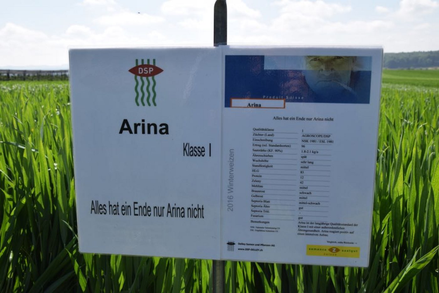 Unverwüstlich: Die Sorte Arina ist schon über 20 Jahre auf der Weizen-Sortenliste.