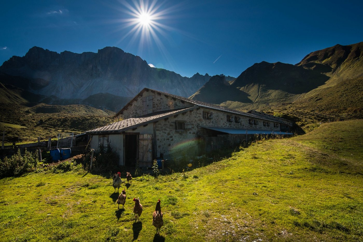 Morgenstimmung auf der Alp Ascharina.