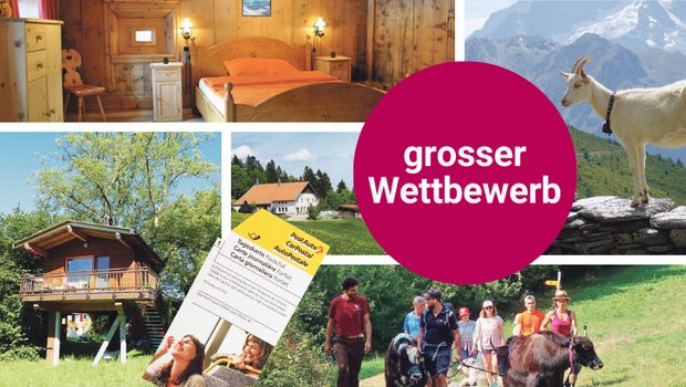 Grosser Agrotourismus-Wettbewerb: Jetzt Ferien gewinnen Miträtseln und gewinnen (Bilder AT Schweiz)