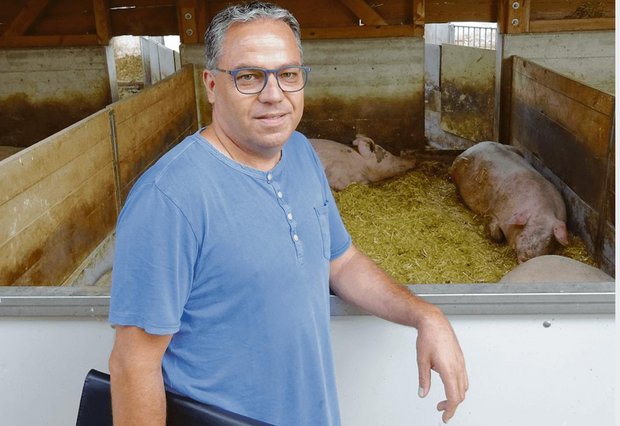 Suisseporcs-Präsident Meinrad Pfister zeigt Interessierten gerne seine Schweinehaltung in Altishofen LU. (Archivbild aem)