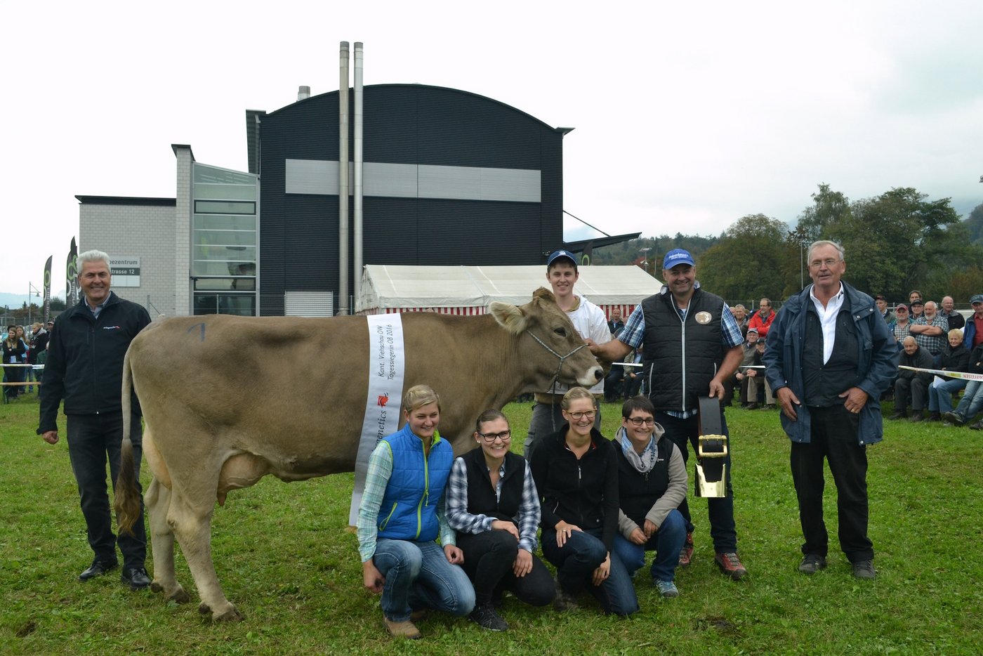 Die Tagessiegerin beim Original Braunvieh Melino Meisi von Thomas Schrackmann, Sarnen (mit Glocke).