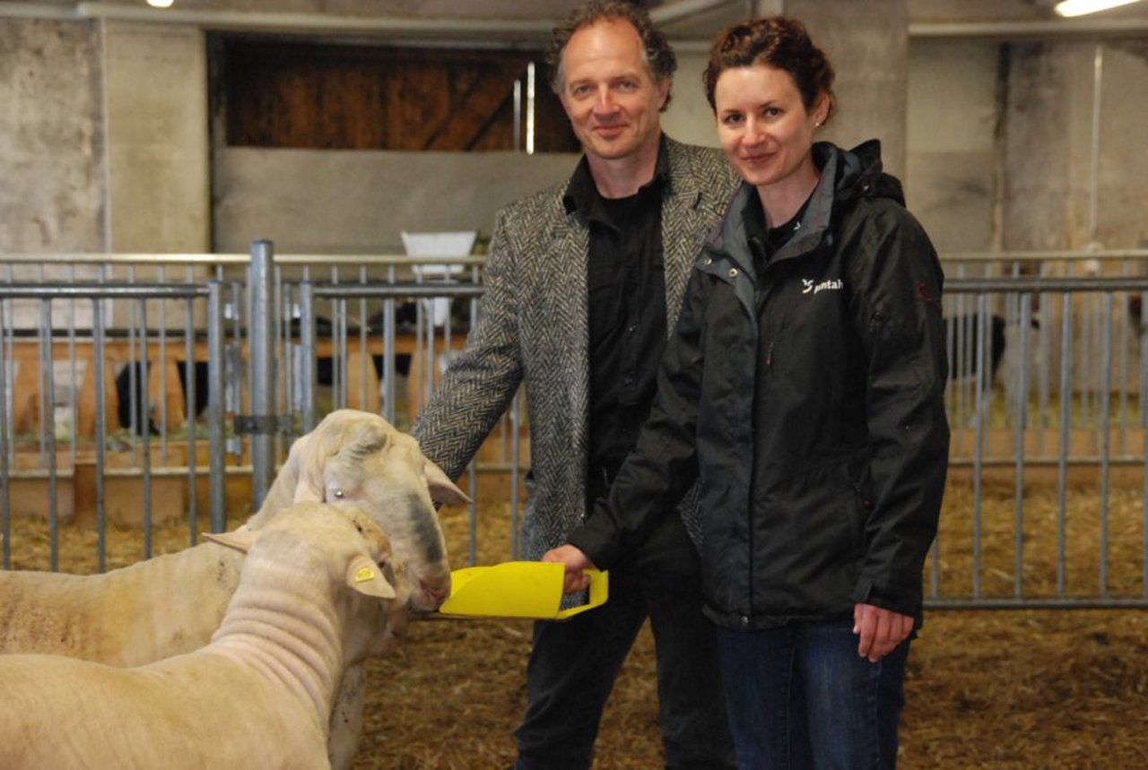 .Plantahof-Direktor Peter Küchler und Marisa Furger, Fachlehrerin für Fütterung und Kleinvieh, im modernen Schafstall. (Bild Vrena Crameri)