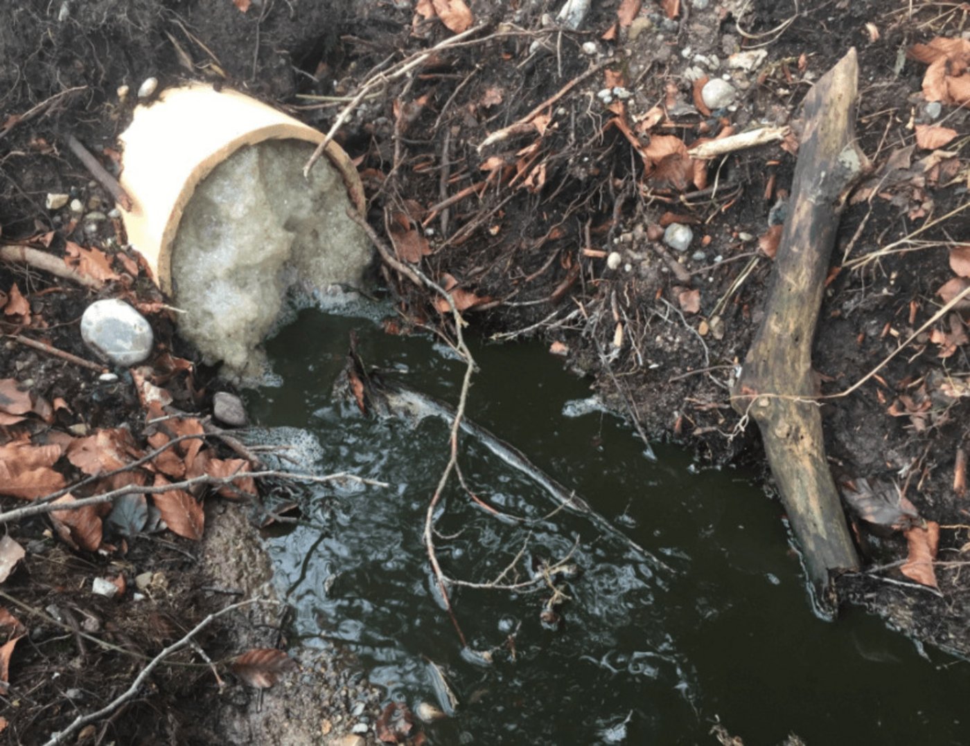 Schliesslich gelangte die Gülle auch in den Lattenbach. (Bild www.polizei-schweiz.ch)