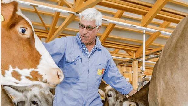 Michael Hässig leitet das Diagnostikzentrum für Nutztiere an der Vetsuisse-Fakultät der Universitäten Bern und Zürich. (Bild Michael Hässig)