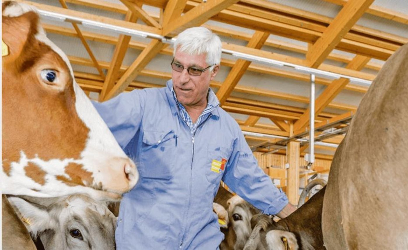 Michael Hässig leitet das Diagnostikzentrum für Nutztiere an der Vetsuisse-Fakultät der Universitäten Bern und Zürich. (Bild Michael Hässig)