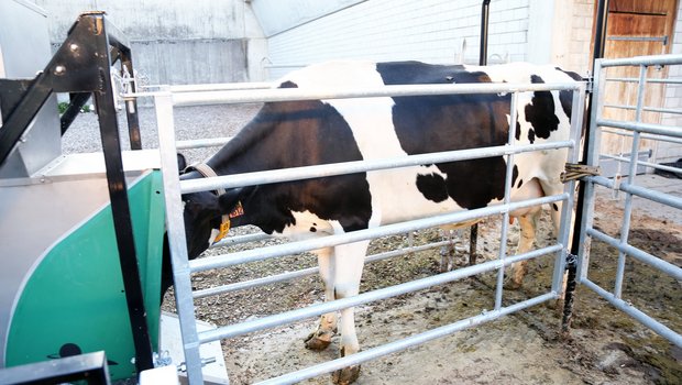 Beim GreenFeed-System gibt ein Futterautomat in kleinen Portionen Lockfutter für das Rind ab, damit es lange genug verweilt, um den Treibhausausstoss zu messen. Eine bisherige Methode ... (Bilder: Agroscope)