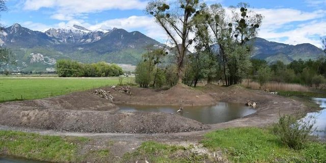 Eine extensive landwirtschaftliche Nutzung soll das frisch renaturierte Flachmoor von nationaler Bedeutung instand halten. (Bild ProNatura VS)