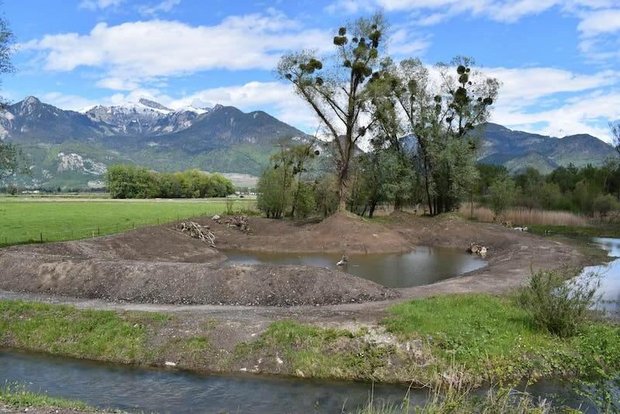 Wallis: Flachmoor fertig renaturiert Eine extensive landwirtschaftliche Nutzung soll das frisch renaturierte Flachmoor von nationaler Bedeutung instand halten. (Bild ProNatura VS)