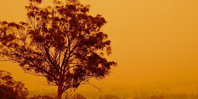 Blick auf die Ortschaft Swifts Creek während der Buschfeuer im Dezember 2006. (Symbolbild Wikimedia)
