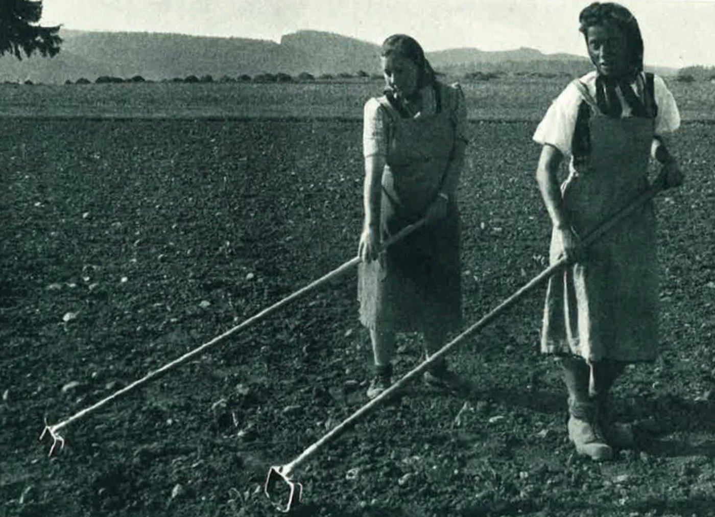 "Moderne Hackgeräte: Pendelhacke": Das "Revolutionäre" dabei war, dass man sie ziehend sowie stossend anwenden konnte. (Bild Forschungs- und Beratungsstelle für Landarbeitstechnik, Brugg)