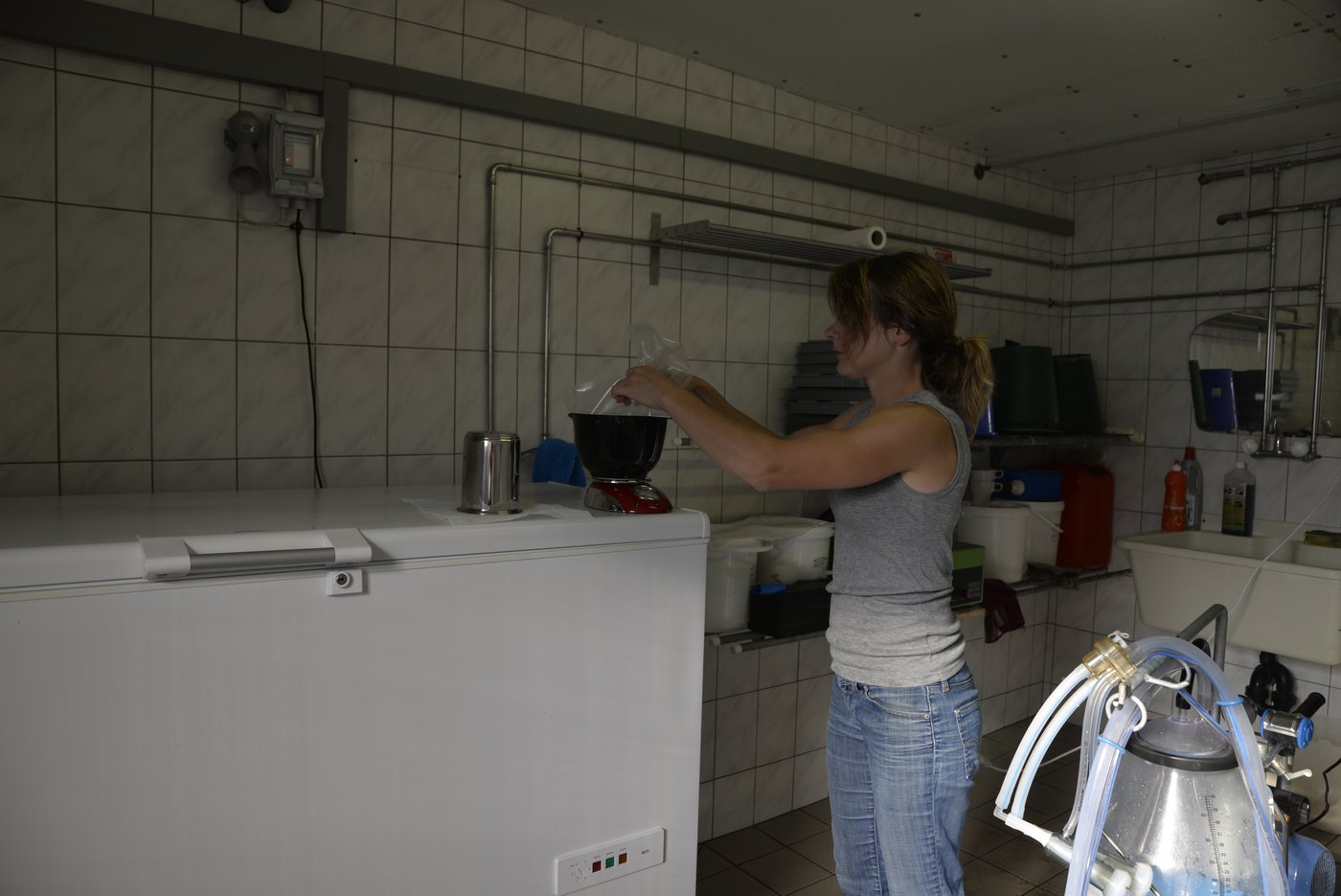 Direkt nach dem Melken wird die Milch abgepackt und eingefroren.