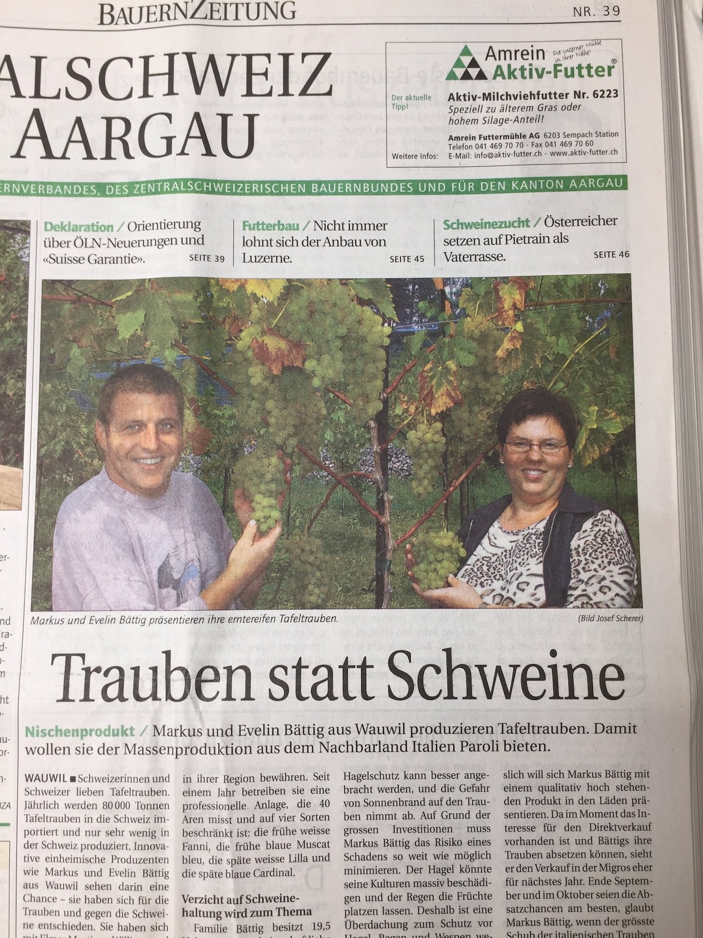 Die BauernZeitung berichtete 2004 über die Tafeltrauben von Bättigs. Ihr Ziel, den Import-Trauben aus Italien Paroli zu bieten, haben sie nicht erreicht.