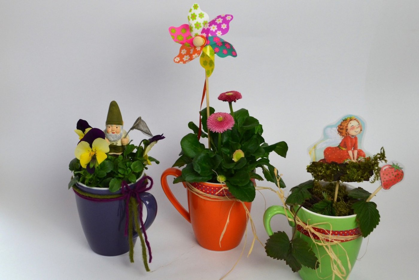 Bastle dir ein Tassengärtchen für dein Fenstersims. (Foto: Pia Bertsch)