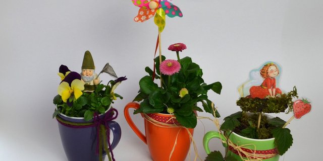 Bastle dir ein Tassengärtchen für dein Fenstersims. (Foto: Pia Bertsch)