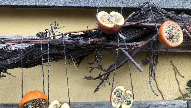 Vogelfutter sollte man Vögeln nur im Winter und bei geschlossener Schneedecke oder Dauerfrost zur Verfügung stellen. (Bilder et)