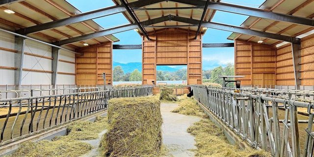 Dieser neue Stall ist RAUS-konform, weil eine Seite offen ist und die Tiere ins Freie sehen können. 