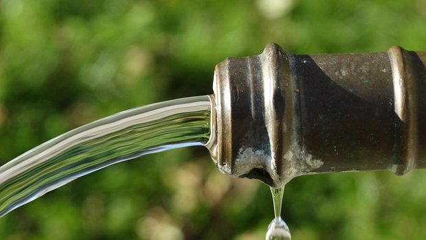 Studie des Bundes: Chlorothalonil-Metaboliten sind «nicht relevant» Ob es wirklich sauber ist, siehst du, wenn du den Grenzwert anschaust. (Symbolbild Pixabay)