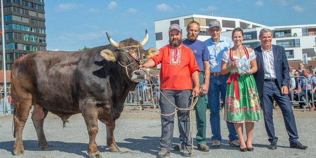 Den Mister-Titel holte sich OB-Stier Alex von Franz Schindler aus Goldau SZ. (Franz Scheiber)