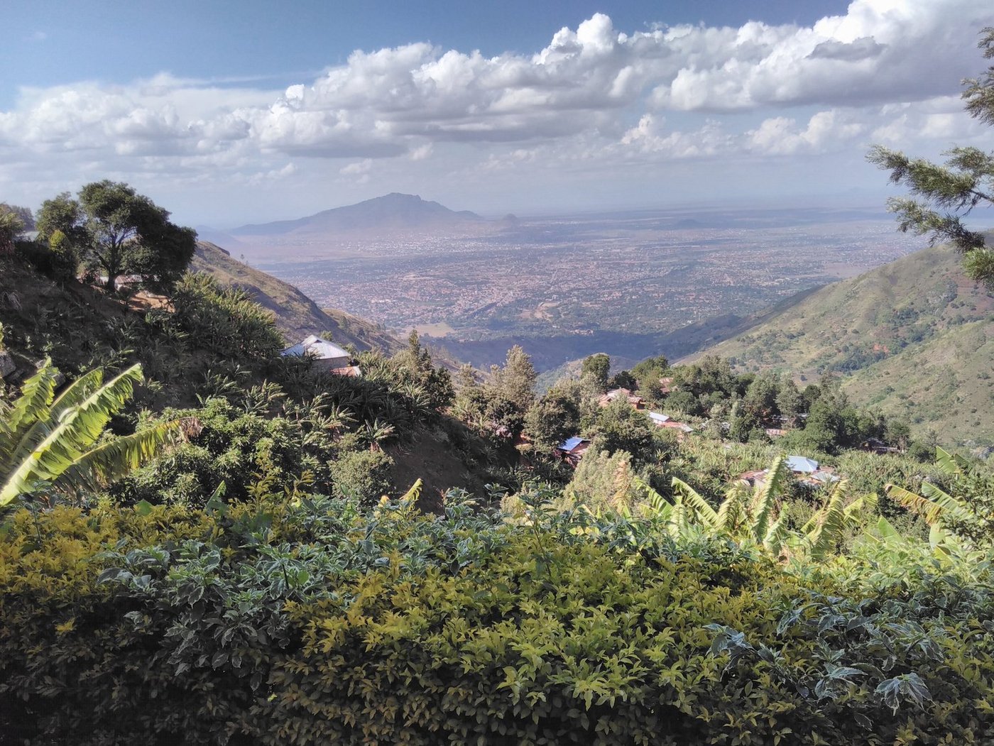 Tansanias Landwirtschaft wird von Kleinbauern geprägt. (Bild Hansjürg Jäger)