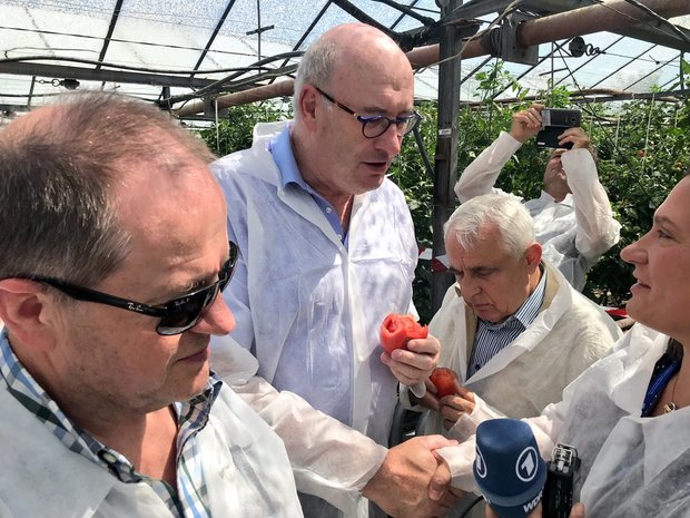 EU-Kommissär Phil Hogan degustiert auf seiner Bulgarienreise eine Tomate. (Bild akr)